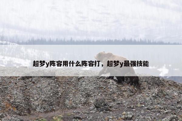 超梦y阵容用什么阵容打，超梦y最强技能