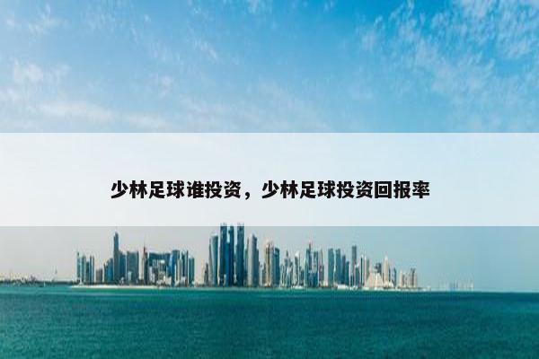 少林足球谁投资，少林足球投资回报率