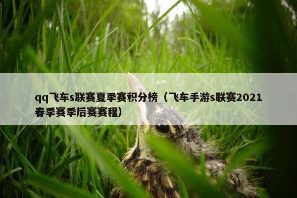 qq飞车s联赛夏季赛积分榜（飞车手游s联赛2021春季赛季后赛赛程）