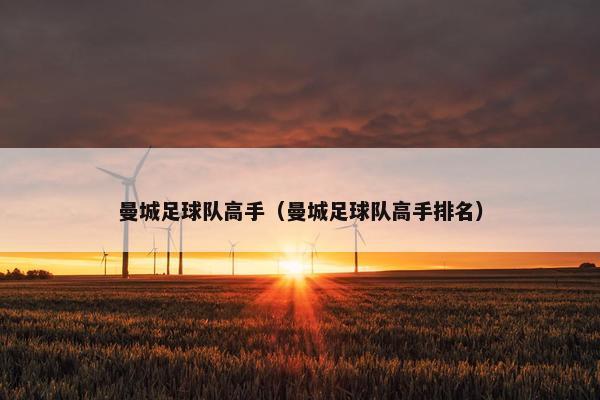 曼城足球队高手（曼城足球队高手排名）