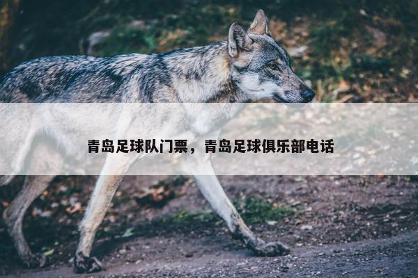 青岛足球队门票，青岛足球俱乐部电话