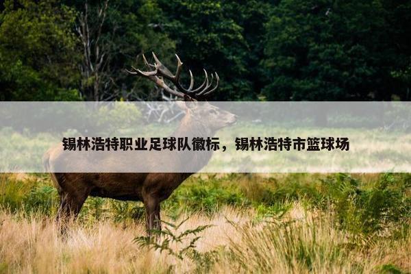 锡林浩特职业足球队徽标，锡林浩特市篮球场