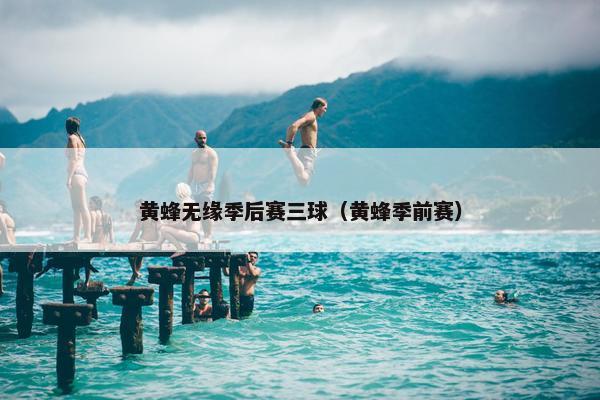 黄蜂无缘季后赛三球（黄蜂季前赛）