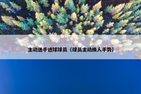 主动送手进球球员（球员主动换人手势）