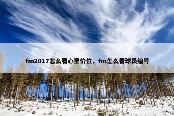 fm2017怎么看心里价位，fm怎么看球员编号