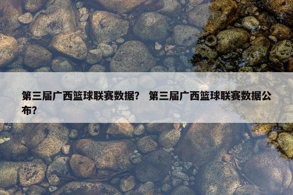 第三届广西篮球联赛数据？ 第三届广西篮球联赛数据公布？