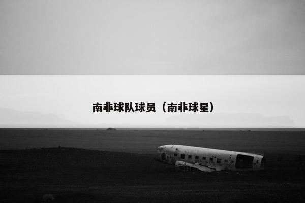 南非球队球员（南非球星）