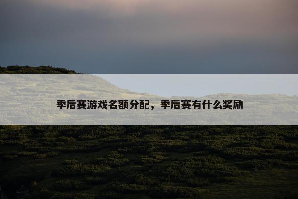 季后赛游戏名额分配，季后赛有什么奖励