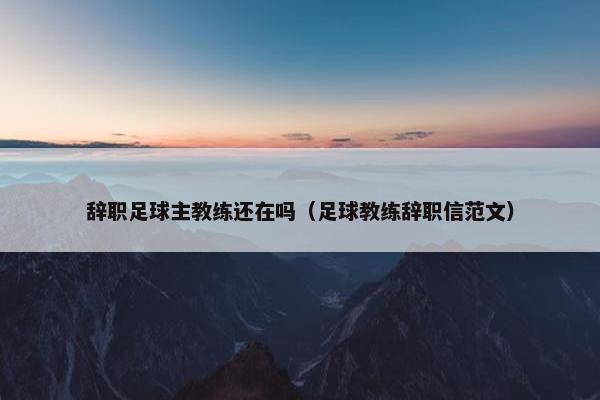 辞职足球主教练还在吗（足球教练辞职信范文）