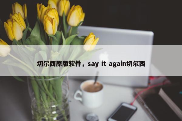 切尔西原版软件，say it again切尔西