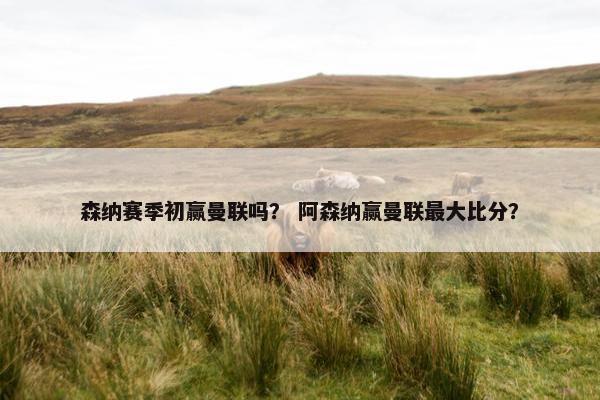 森纳赛季初赢曼联吗？ 阿森纳赢曼联最大比分？