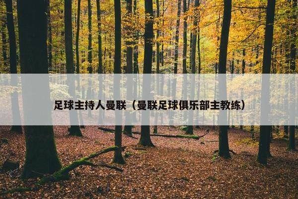 足球主持人曼联（曼联足球俱乐部主教练）