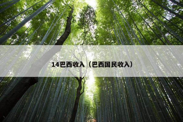 14巴西收入（巴西国民收入）