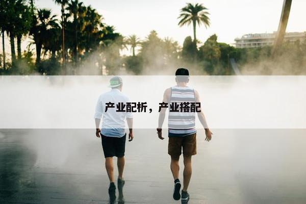 产业配析，产业搭配