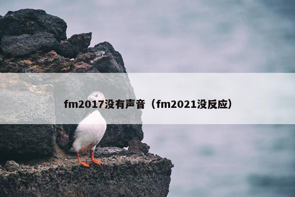 fm2017没有声音（fm2021没反应）