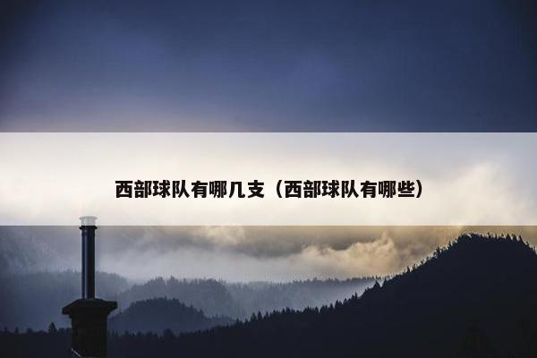 西部球队有哪几支（西部球队有哪些）