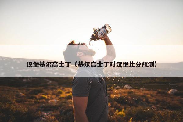 汉堡基尔高士丁（基尔高士丁对汉堡比分预测）