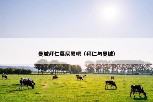 曼城拜仁慕尼黑吧（拜仁与曼城）