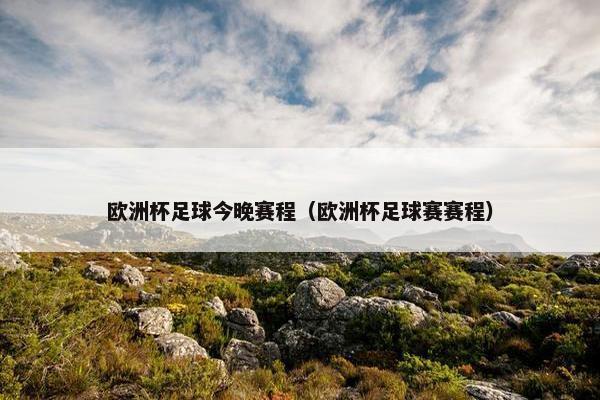 欧洲杯足球今晚赛程（欧洲杯足球赛赛程）