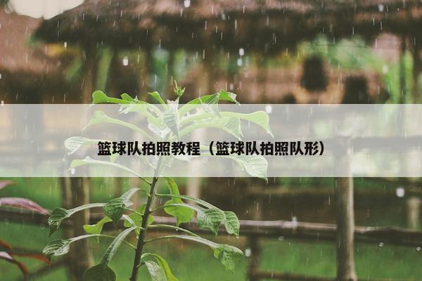 篮球队拍照教程（篮球队拍照队形）