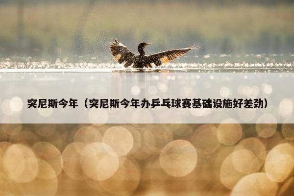突尼斯今年（突尼斯今年办乒乓球赛基础设施好差劲）