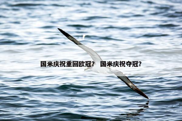 国米庆祝重回欧冠？ 国米庆祝夺冠？