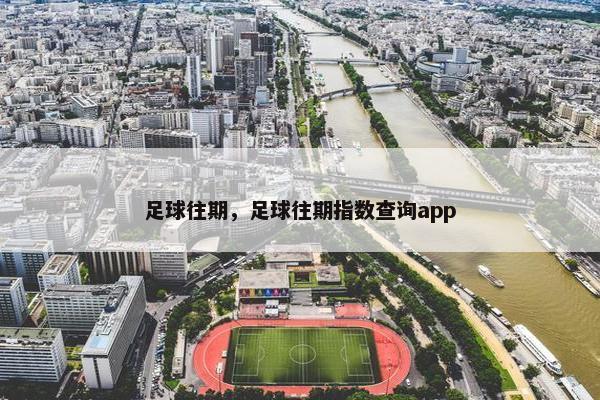 足球往期，足球往期指数查询app
