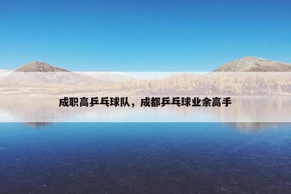 成职高乒乓球队，成都乒乓球业余高手