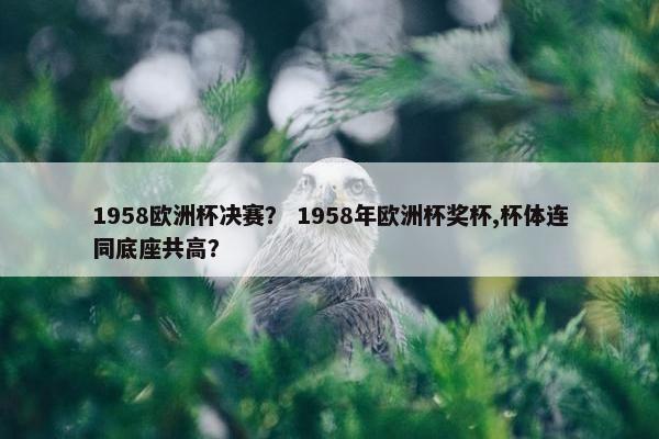 1958欧洲杯决赛？ 1958年欧洲杯奖杯,杯体连同底座共高？