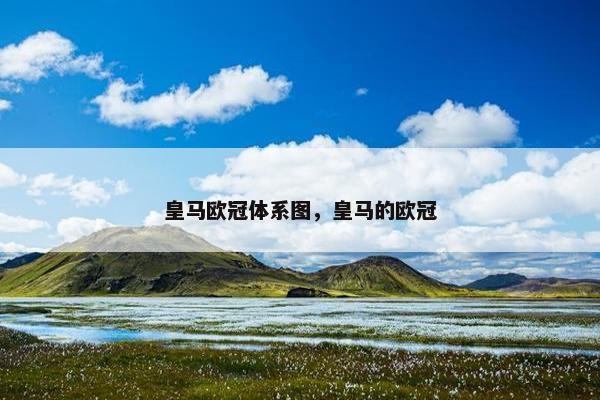 皇马欧冠体系图，皇马的欧冠