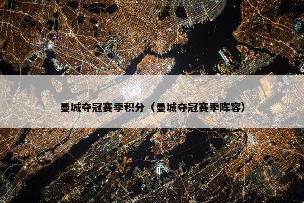 曼城夺冠赛季积分（曼城夺冠赛季阵容）