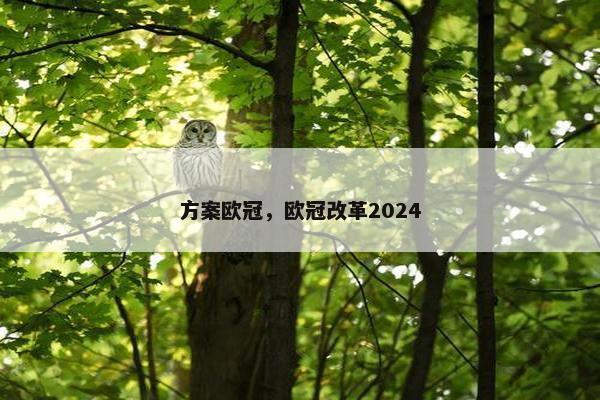 方案欧冠，欧冠改革2024