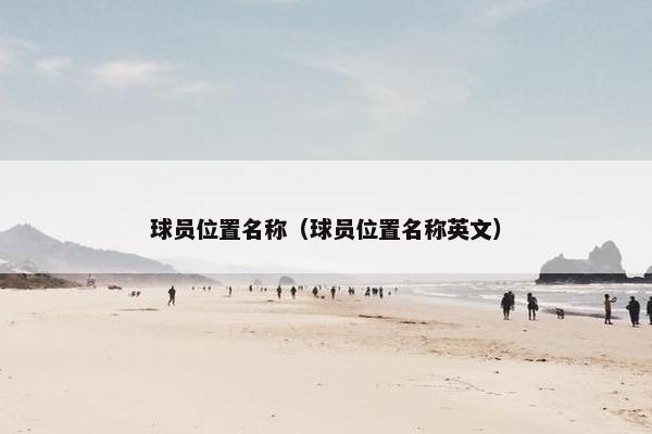 球员位置名称（球员位置名称英文）