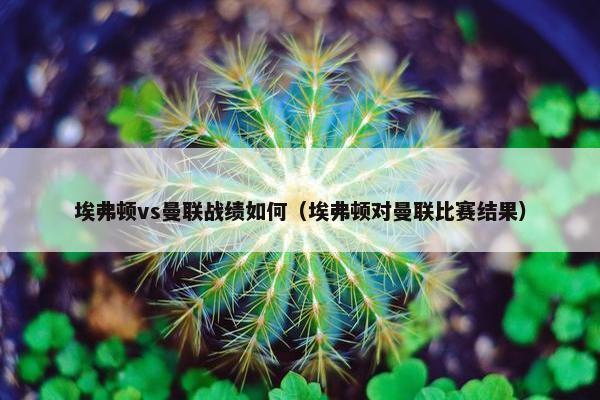 埃弗顿vs曼联战绩如何（埃弗顿对曼联比赛结果）