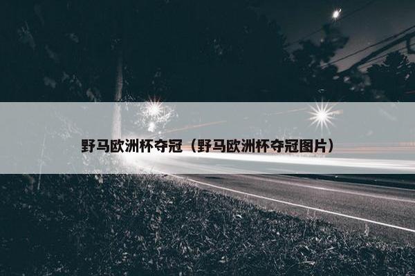 野马欧洲杯夺冠（野马欧洲杯夺冠图片）