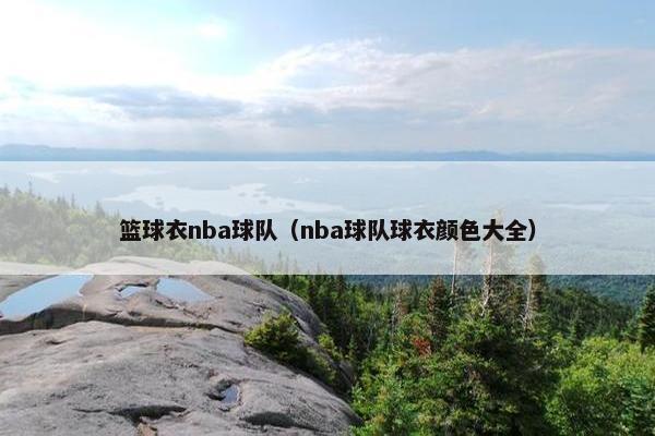 篮球衣nba球队（nba球队球衣颜色大全）