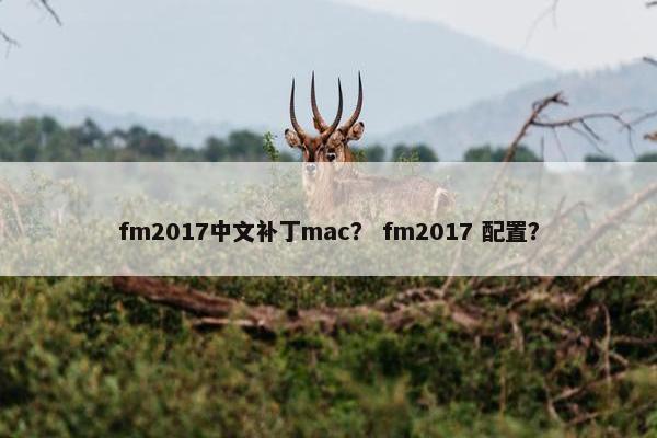 fm2017中文补丁mac？ fm2017 配置？
