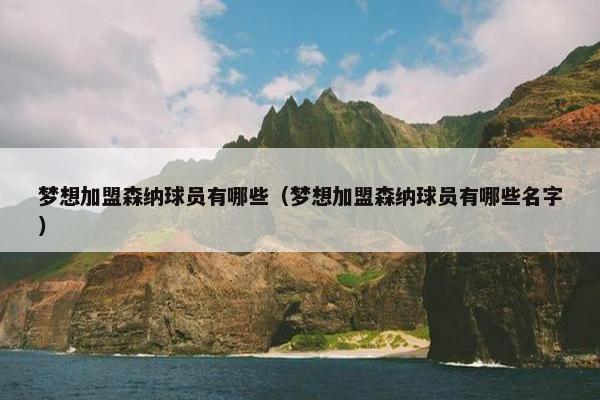 梦想加盟森纳球员有哪些（梦想加盟森纳球员有哪些名字）