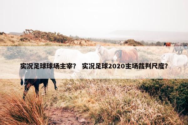 实况足球球场主宰？ 实况足球2020主场裁判尺度？