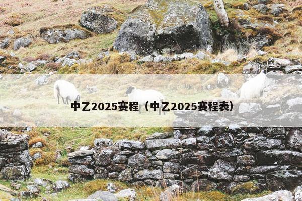 中乙2025赛程（中乙2025赛程表）