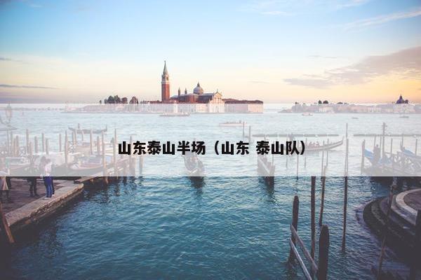 山东泰山半场（山东 泰山队）