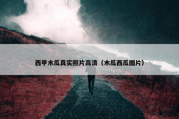 西甲木瓜真实照片高清（木瓜西瓜图片）