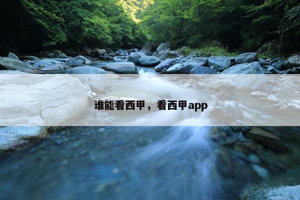 谁能看西甲，看西甲app