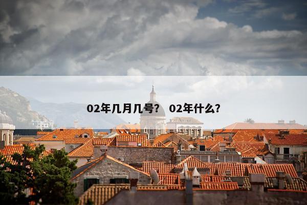 02年几月几号？ 02年什么？