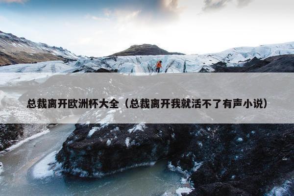 总裁离开欧洲杯大全（总裁离开我就活不了有声小说）
