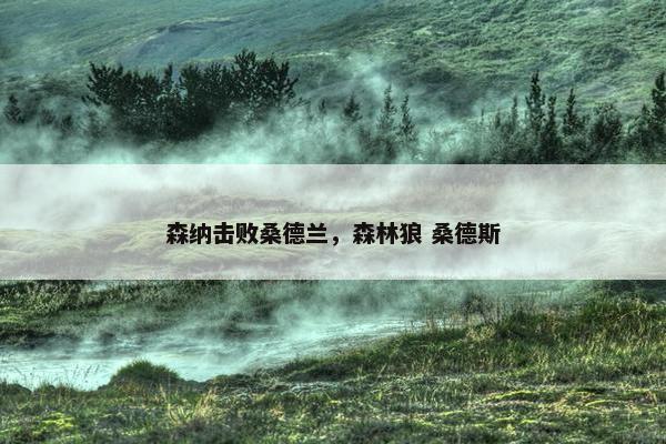 森纳击败桑德兰，森林狼 桑德斯