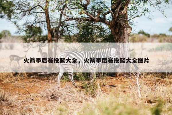 火箭季后赛投篮大全，火箭季后赛投篮大全图片