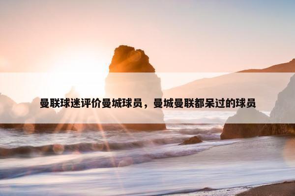 曼联球迷评价曼城球员，曼城曼联都呆过的球员