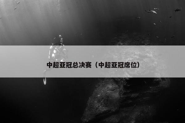 中超亚冠总决赛（中超亚冠席位）