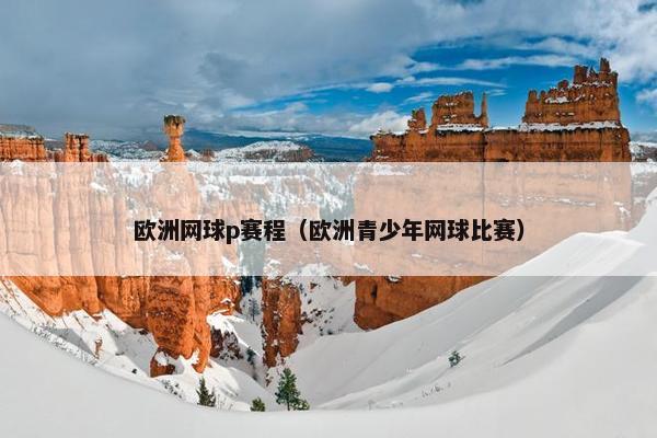 欧洲网球p赛程（欧洲青少年网球比赛）